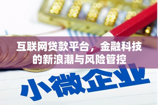 南京互联网贷款平台，金融科技的新浪潮与风险管控
