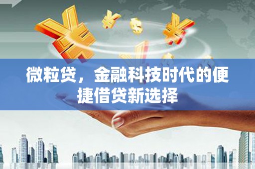 南京微粒贷，金融科技时代的便捷借贷新选择