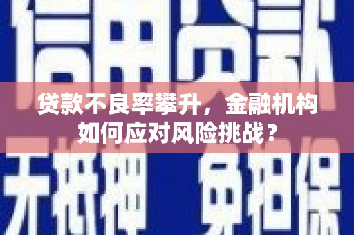 南京贷款不良率攀升，金融机构如何应对风险挑战？