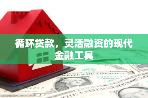 南京循环贷款，灵活融资的现代金融工具