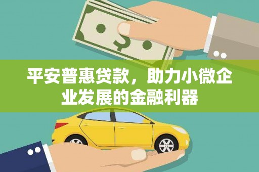 南京平安普惠贷款，助力小微企业发展的金融利器