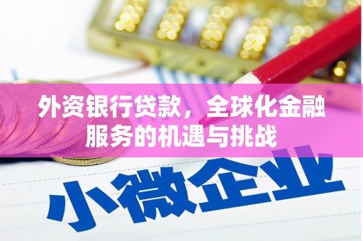 南京外资银行贷款，全球化金融服务的机遇与挑战