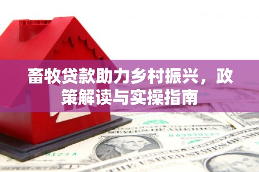 南京畜牧贷款助力乡村振兴，政策解读与实操指南