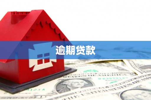 南京逾期贷款