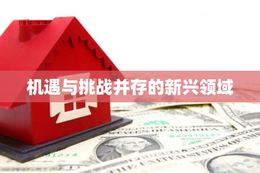 南京机遇与挑战并存的新兴领域
