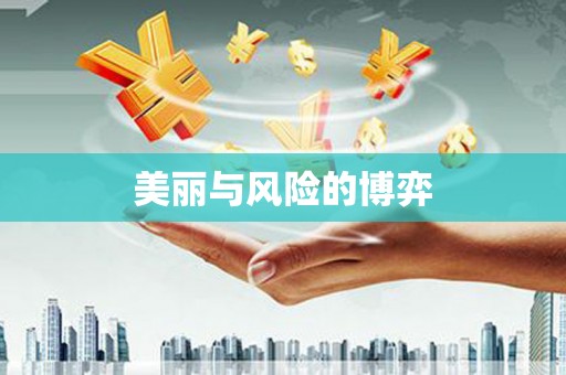 南京美丽与风险的博弈