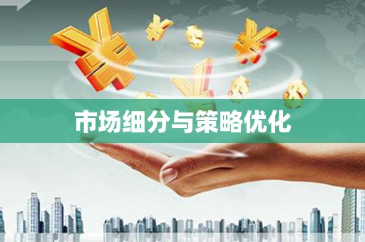 南京市场细分与策略优化